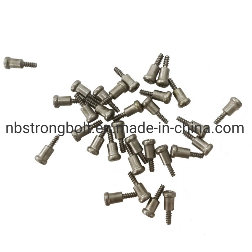Special Step Shaped Screw Non- Standard Screw